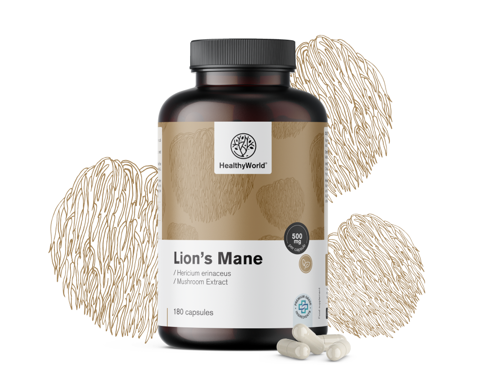 Hericium Erinaceus (melena de león) - hongo