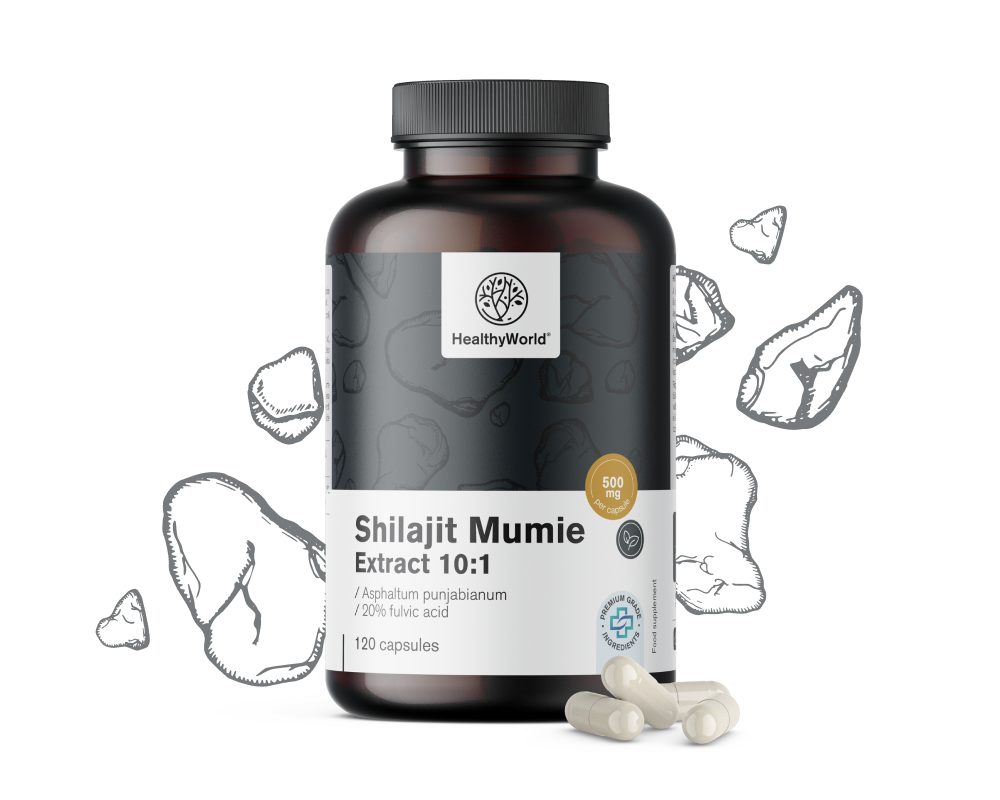 Shilajit Mumie Extract 10:1