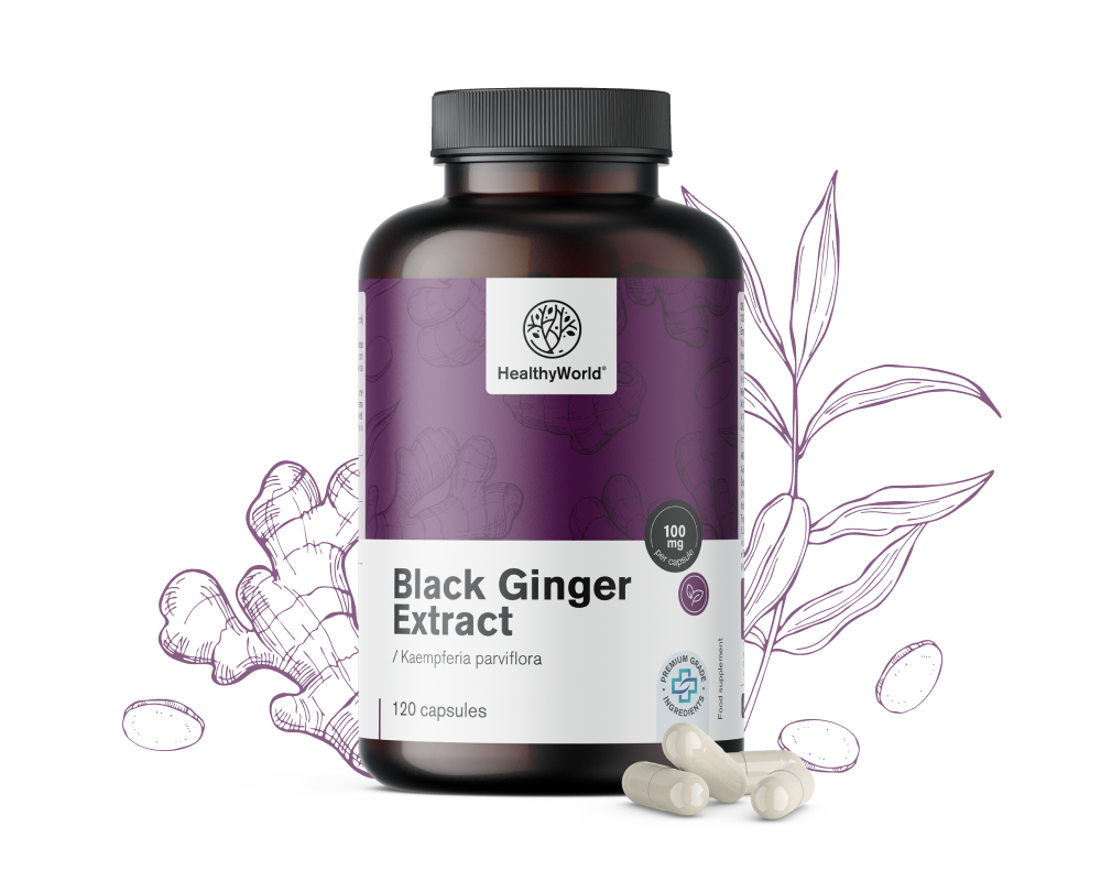 Extracto de Jengibre Negro