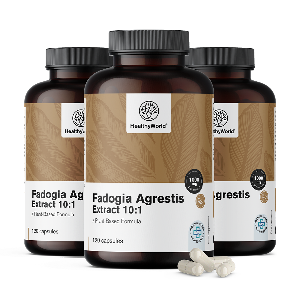 Fadogia Agrestis 1000 mg en cápsulas.