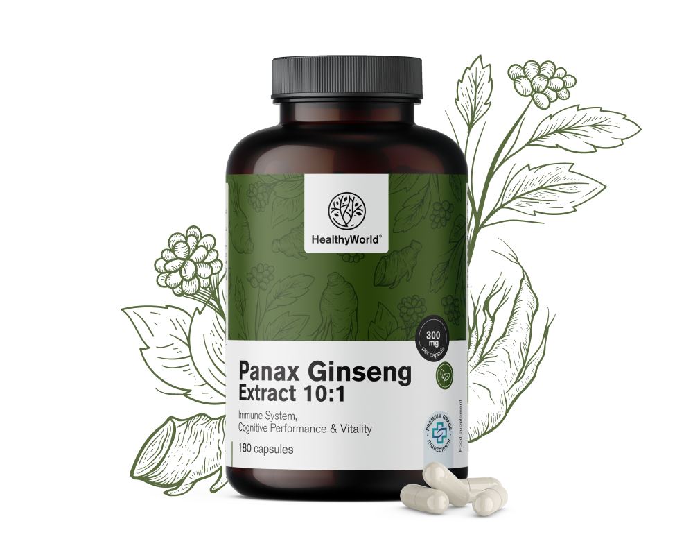 Panax Ginseng 300 mg - extracto de ginseng 10:1