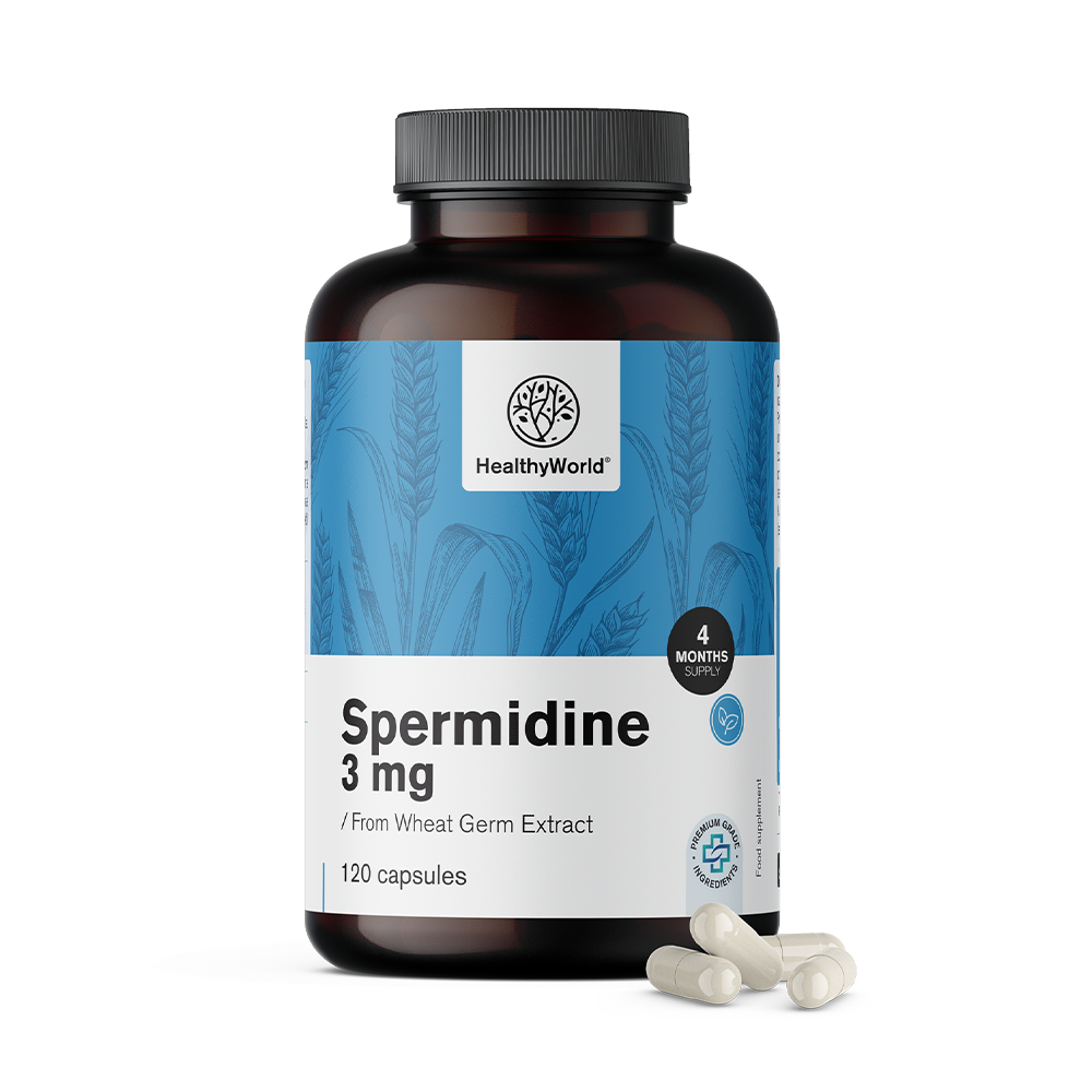 Espermidina 3 mg - a partir de extracto de brotes de trigo.