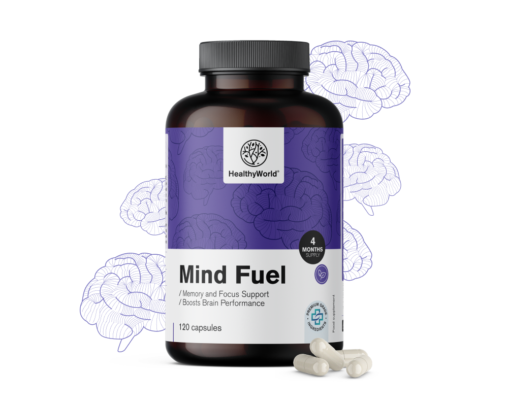 Mind Fuel – memoria y concentración
