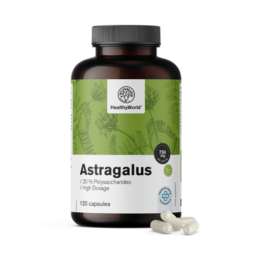 Astragalus – extracto, 120 cápsulas