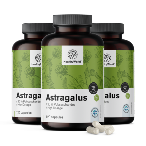 3x Astragalus – extracto, en total 360 cápsulas