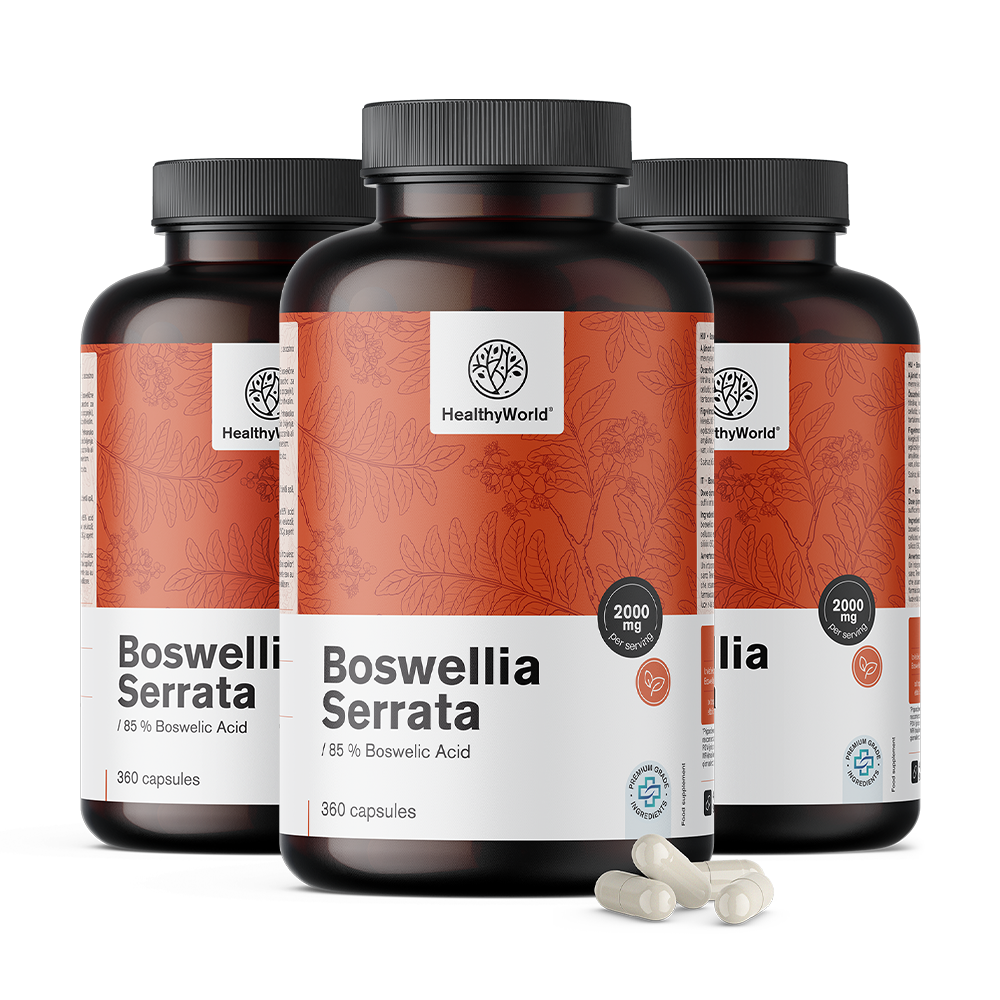 Boswellia (Boswellia Serrata) – 85% de ácido boswélico