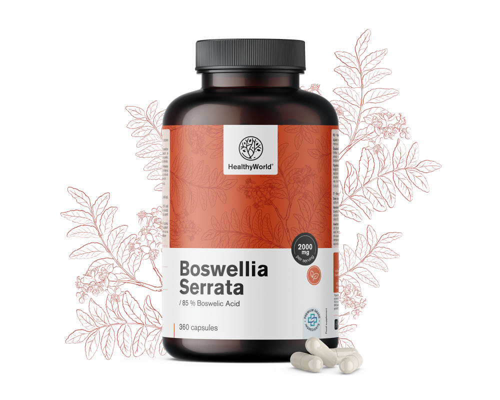 Boswellia (Boswellia Serrata) - 85% ácido boswelico