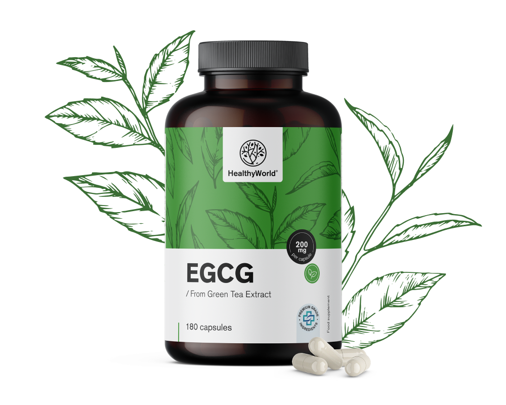 EGCG – del extracto de té verde